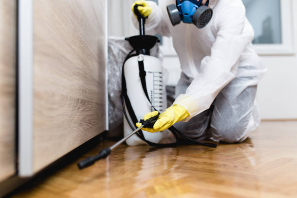 Best Affordable Pest Control Services  in Chanute, KS