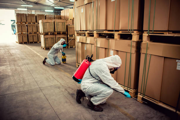 Best Ant Control Services  in Chanute, KS
