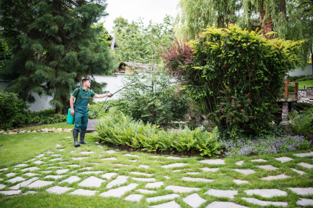 Best Best Pest Control Companies  in Chanute, KS