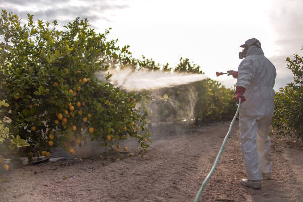Best Commercial Pest Control Services  in Chanute, KS