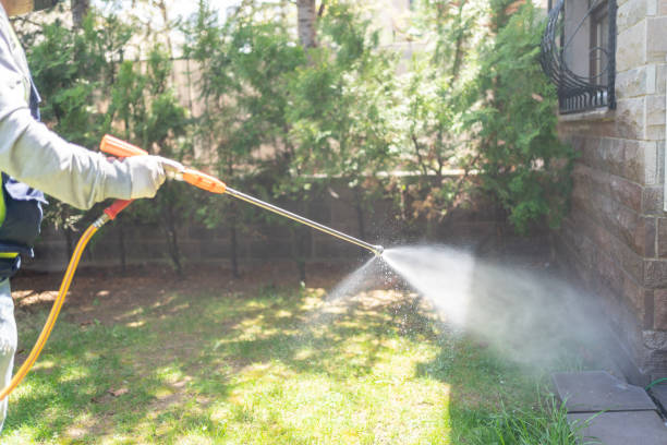 Best Local Pest Control Services  in Chanute, KS