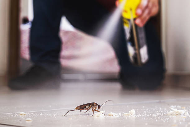 Best Pest Control Near Me